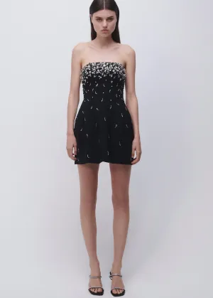 Arta Bustier Mini Dress (Black)