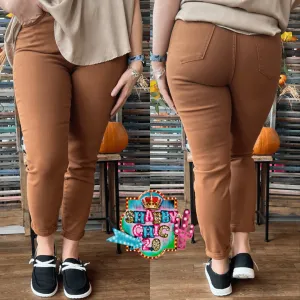 Judy Blue Slim Fit Non Distressed Brown Jeans