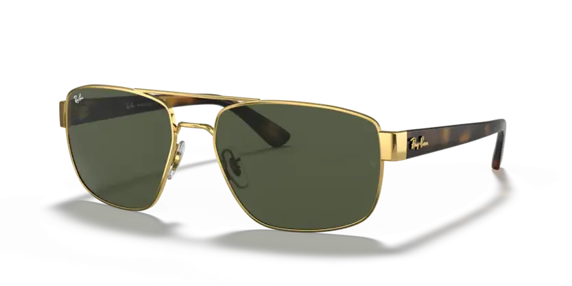 Ray-Ban RB 3663